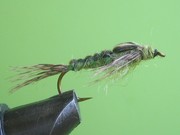 IMG 6070