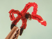 IMG 6669