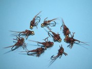 IMG 6761