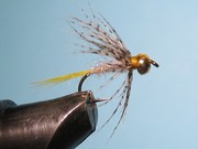 IMG 7056