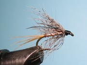 IMG 7061