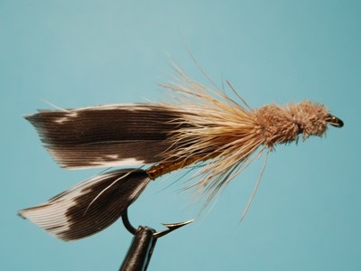DSC 2397