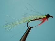 DSC 2399