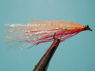 DSC 2400