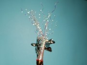 DSC 2402