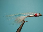 DSC 2404