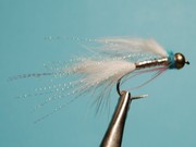 DSC 2405