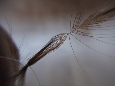 02 (6)
