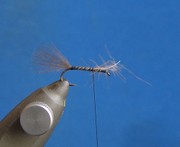 RKE1