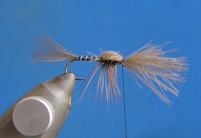 RKE11