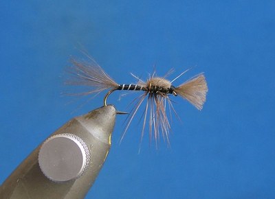 RKE12