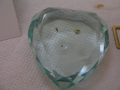 P101019