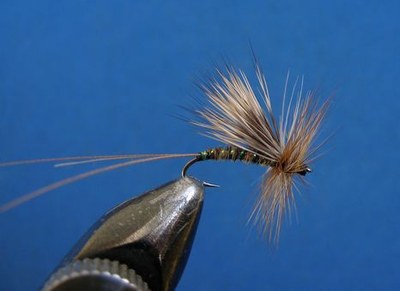 MM12