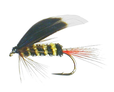 McGinty Bee