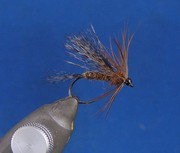 wfmb 1