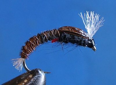 fpupa