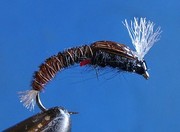 fpupa