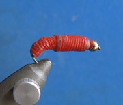Nz15