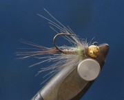 GCH 1
