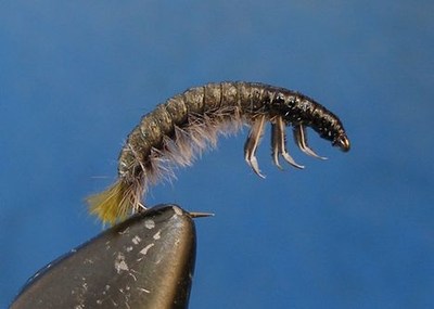 DOHL1