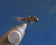 zn 1