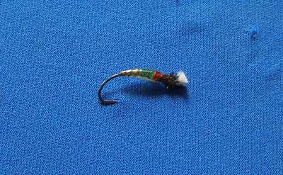 SRF Bulgarian Tricolor Buzzer Pupa  Partridge FlashPoint Klinkhammer 15BN