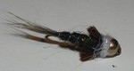 DSCN2528