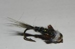 DSCN0578