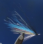 snf1