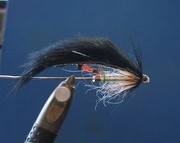 srf zonker 1