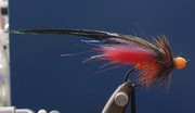S Tyne Sp