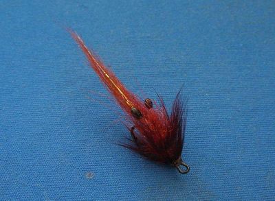 SRF Salmon Shrimp