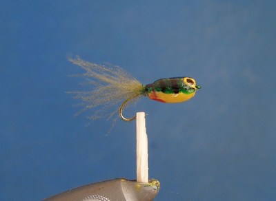 SRF Tadpole K 1