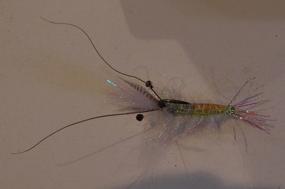 SRF Shrimp - short shank,wide gape,size 1/0
