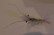 SRF Shrimp - short shank,wide gape,size 1/0