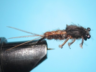 May Fly Nymph 3