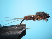 May Fly Nymph 2