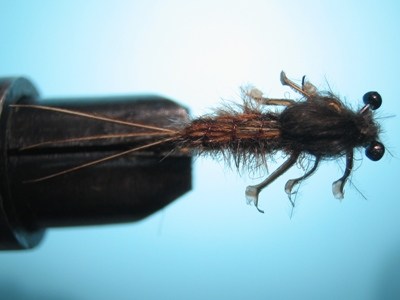 May Fly Nymph 7