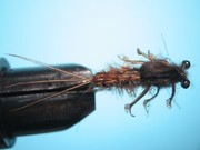 May Fly Nymph 10