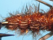 May Fly Nymph 14