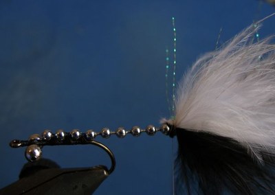 STR12