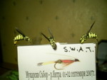PIC 0039