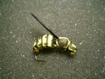 PIC 0044