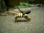 PIC 0045