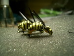PIC 0048