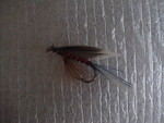 DSC04878