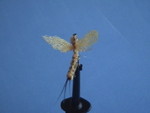 DSC05185