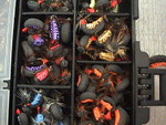 Picture 055