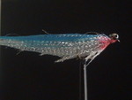 DSC05896