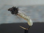 DSC05906